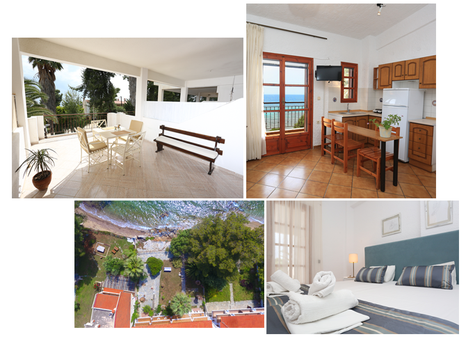 collage_home